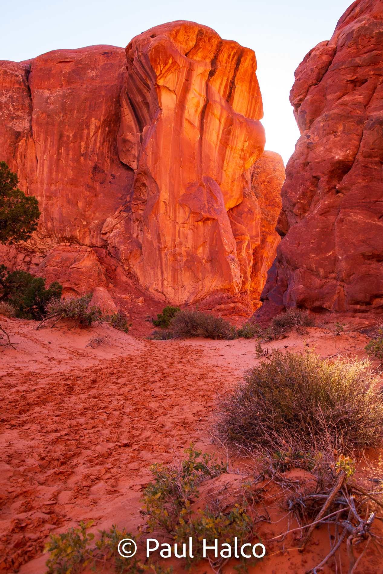 Paul Halco - Arches NP-14